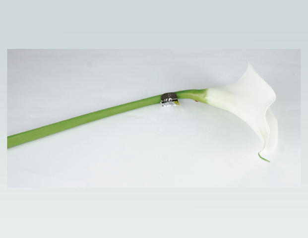 Kunstblume Calla Lily