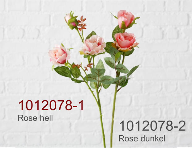 Rose hell