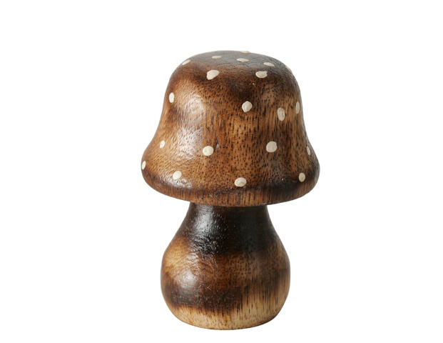 Pilz Pucky