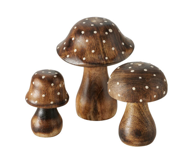 Pilz Pucky