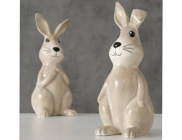 Hase Sammy