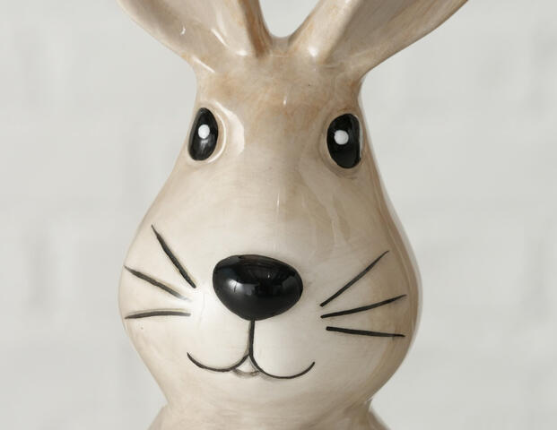 Hase Sammy