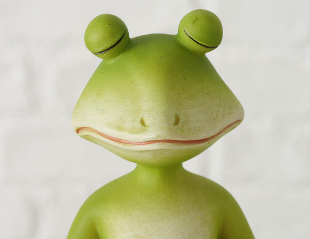 Frosch Yoga