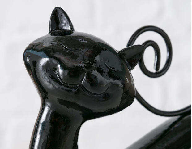 Katze Melora