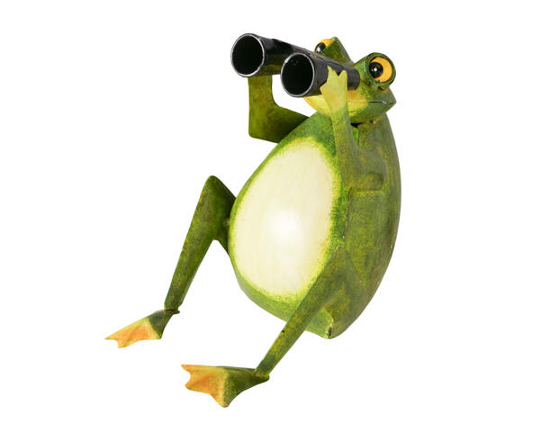 Deko-Frosch Fredo