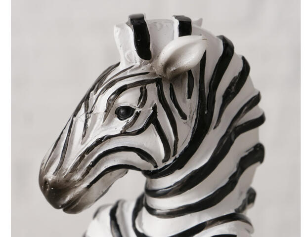 Zebra Yoga