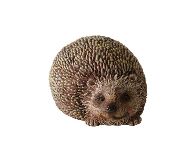 Igel Walter