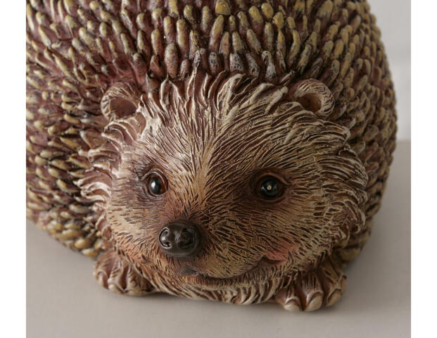 Igel Walter
