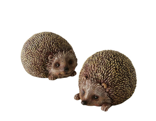Igel Walter