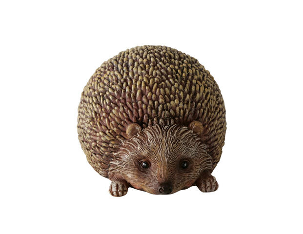Igel Walter