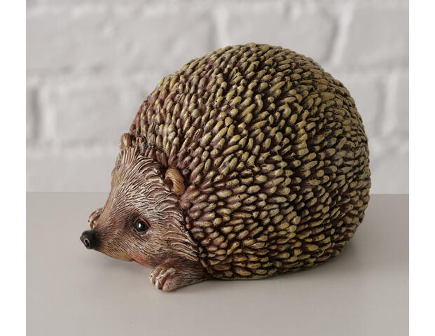 Igel Walter