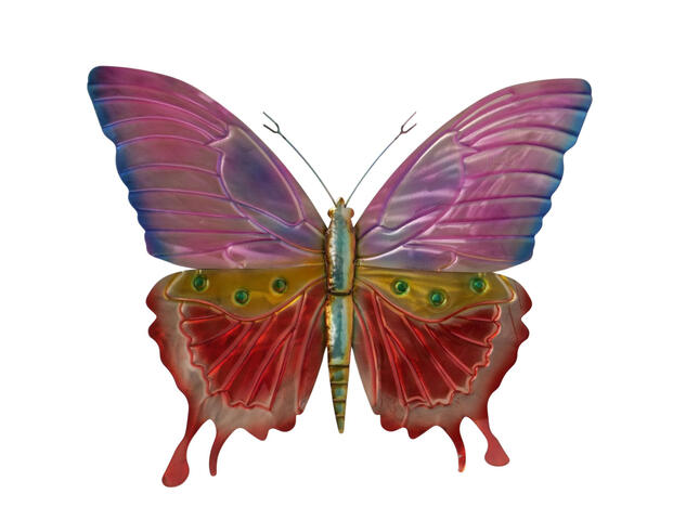 Schmetterling Soleris