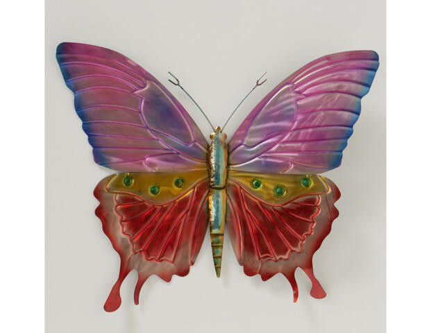 Schmetterling Soleris