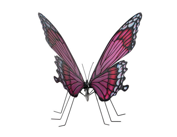 Schmetterling Floriana