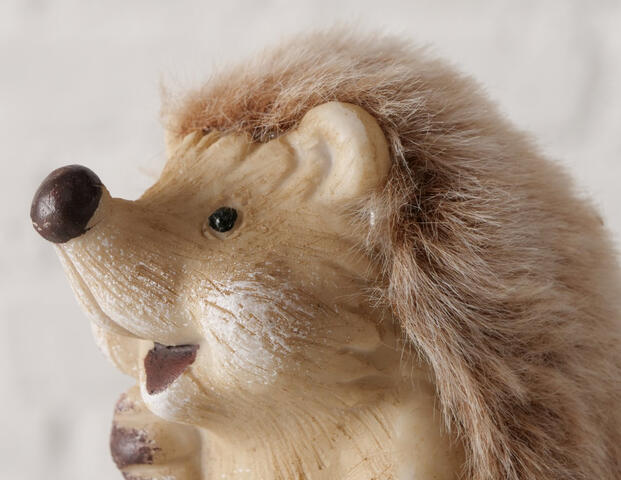 Igel Minno