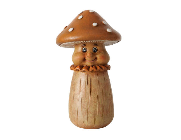 Pilz Muscaria
