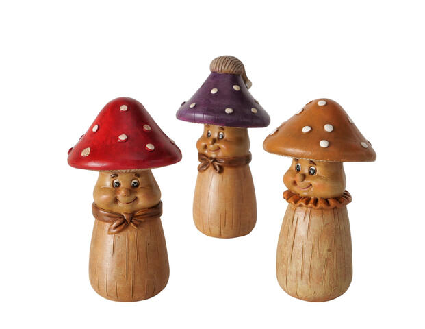Pilz Muscaria