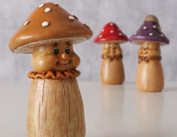 Pilz Muscaria