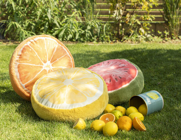 Kissen Fruity