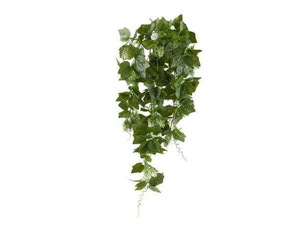 Hopfenhänger