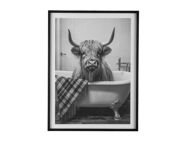 Bild Stier