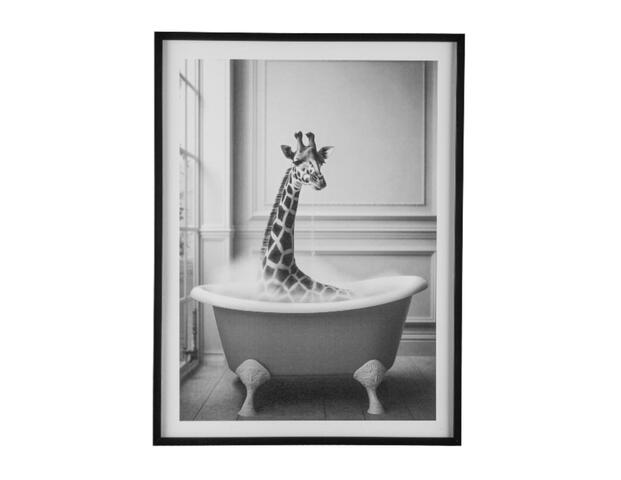 Bild Giraffe