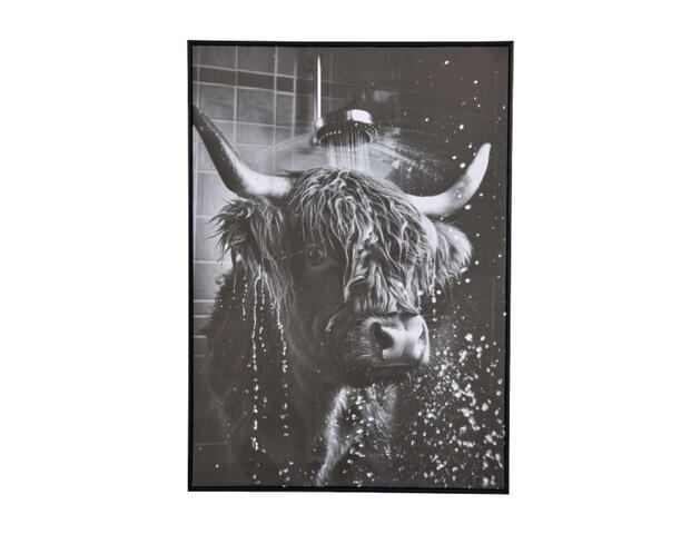 Bild Stier