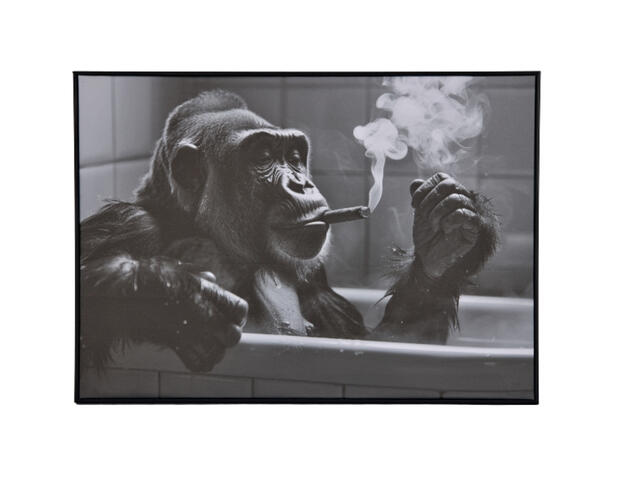 Bild Gorilla
