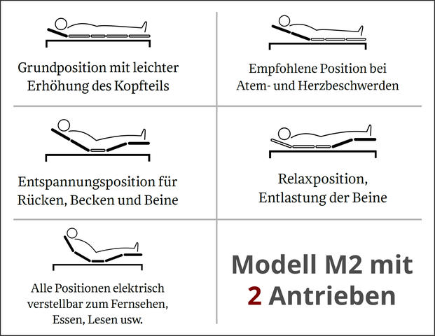 Einlegerahmen Swing-flex Modell M2