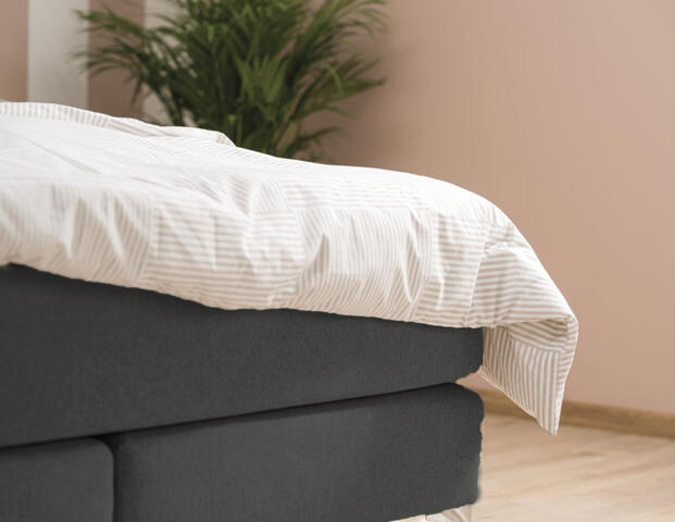 Boxspringbett Calla Premium