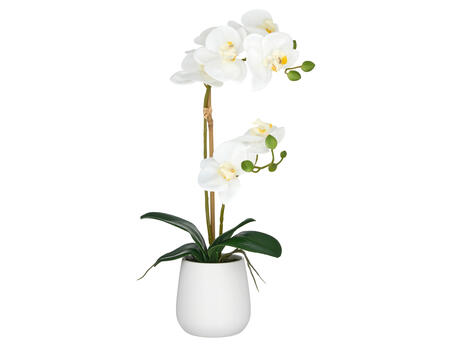 Kunstpflanze Phalaenopsis