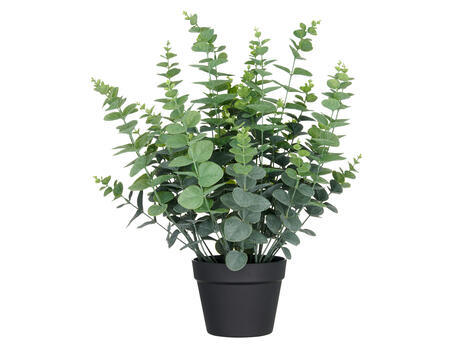 Kunstpflanze Eukalyptus gunnii