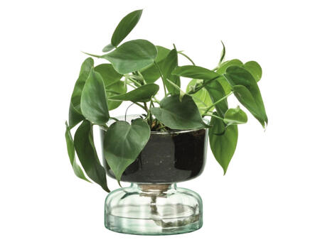 Topf Canopy 