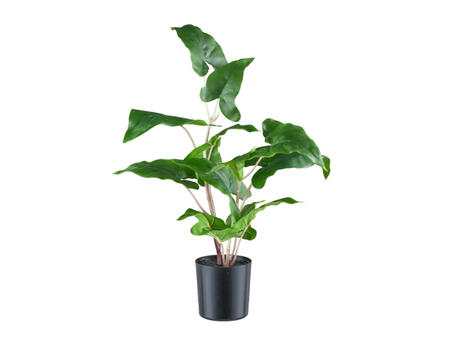 Kunstpflanze Colocasia