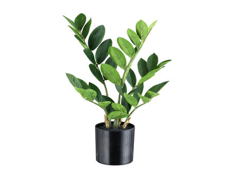 Kunstpflanze Zamifolia