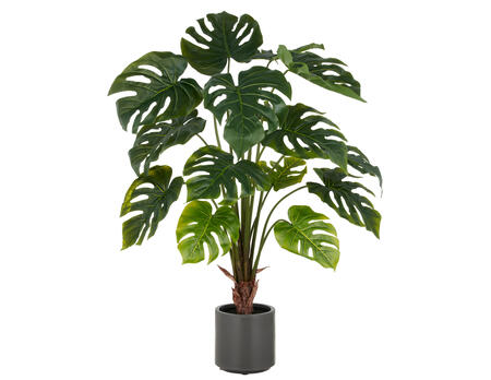 Kunstpflanze Split Philodendron