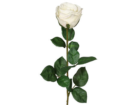 Dekozweig Gartenrose