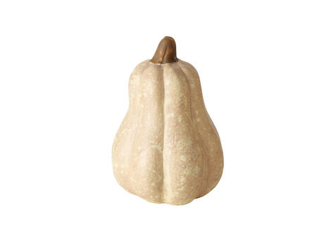 Kürbis Pumpky