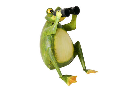 Deko-Frosch Fredo