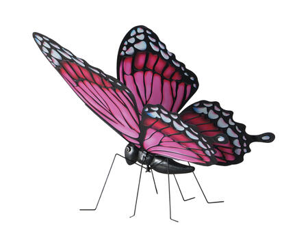 Schmetterling Floriana