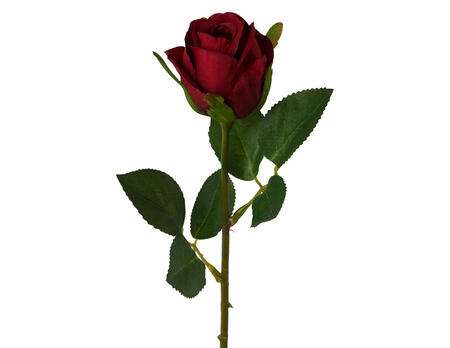 Dekozweig Rose