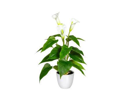 Kunstpflanze Calla