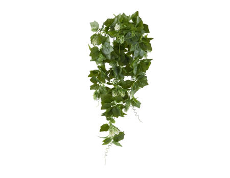 Hopfenhänger