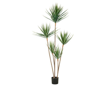 Kunstpflanze Dracaena Draco x5, H165cm