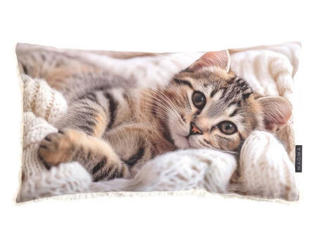 Kissen Pets