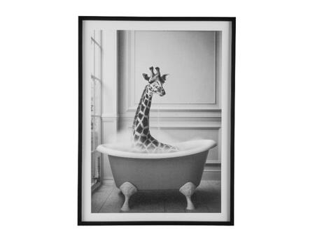 Bild Giraffe