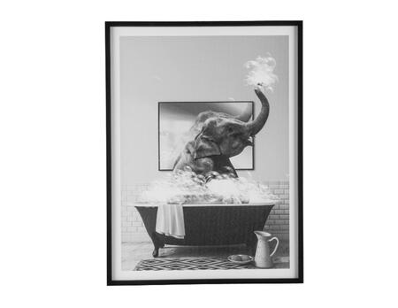 Bild Elefant