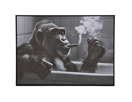 Bild Gorilla
